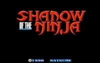 Sombra do Ninja (Estados Unidos) - crazygames