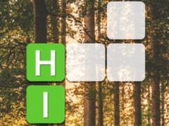 Bloco de Palavras - crazygames,crazy games,free games,h5 game, free play,free crazy games