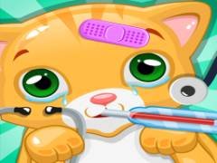 Doutor do Gato, Salve meu Gato - crazygames