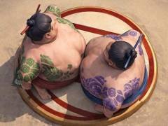 Batalha de Luta Sumo - crazygames
