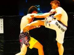 Jogo de Quebra-Cabeça de Luta UFC - crazygames