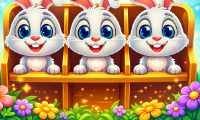 Coelhinhos Classificar - crazygames