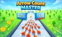 Mestre da Contagem de Flechas - crazygames