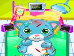 Clínica de Gatos ASMR - crazygames,crazy games,free games,h5 game, free play,free crazy games