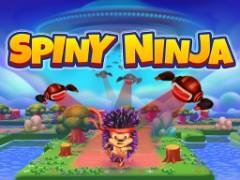 Ninja Espinhoso - crazygames
