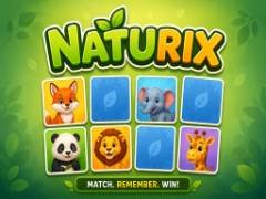 Naturix - crazygames,crazy games,free games,h5 game, free play,free crazy games